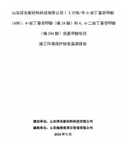 山東祥東新材料科技有限公司1.2萬(wàn)噸/年6-叔丁基鄰甲(60K)、4-叔丁基鄰甲酚(偏 24 酚)和 4，6-二叔丁基鄰甲酚(偏 246 酚)烷基甲酚項(xiàng)目竣工環(huán)境保護(hù)驗(yàn)收監(jiān)測(cè)報(bào)告